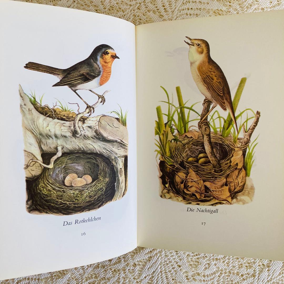 まとめ売り♪　インゼル文庫3点セット　鳥・蝶・木の図鑑　ドイツ古書
