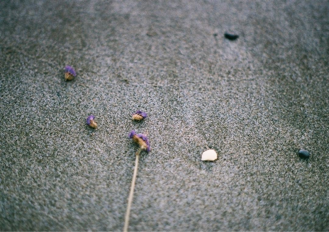 ASAHI PENTAX SPF フィルムカメラ
