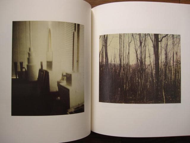 サイ・トゥオンブリーの写真 変奏のリリシズム　Cy Twombly