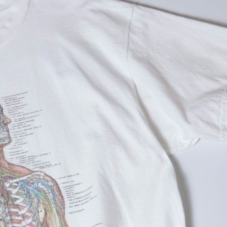 00s 人体模型 アート Tシャツ XL カートコバーン アンナトミー 690