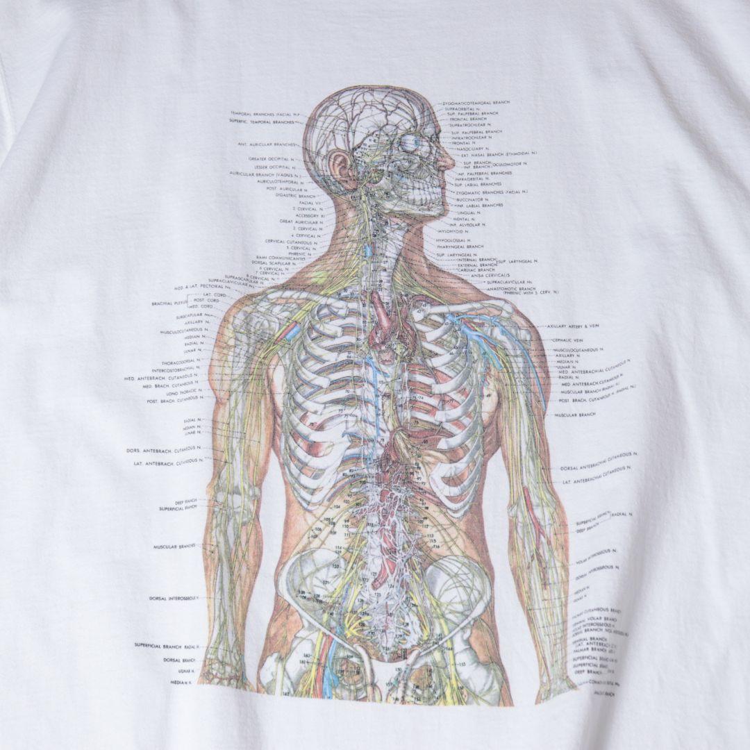 00s 人体模型 アート Tシャツ XL カートコバーン アンナトミー 690