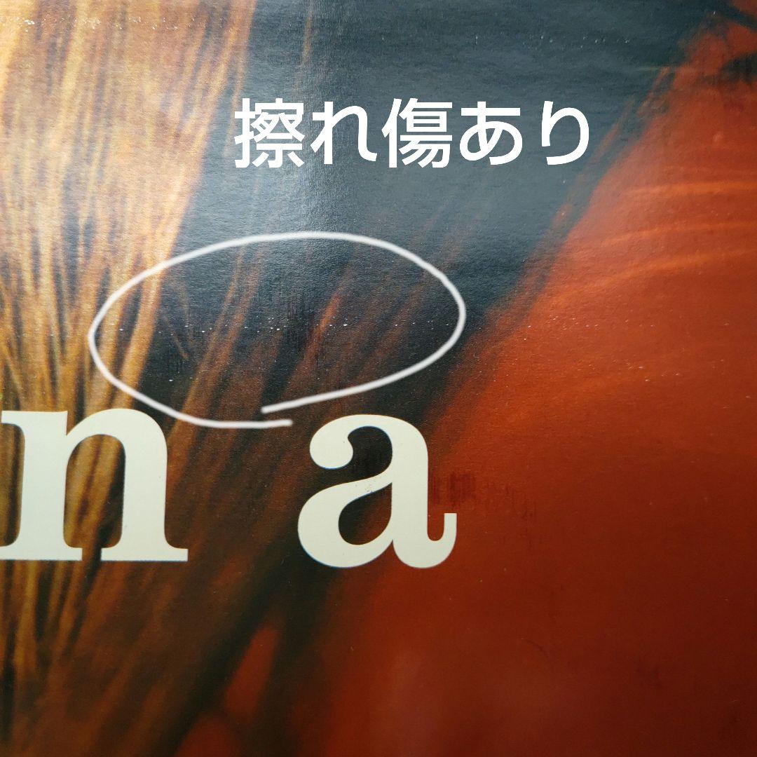 安室奈美恵／Don't wanna cry 新品店頭告知ポスター90年代当時物