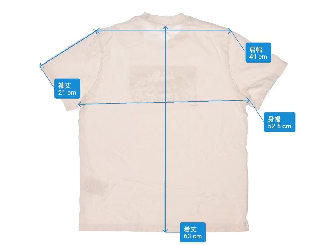 MONCLER 24/25秋冬 マウンテンロゴ コットン TシャツMサイズ