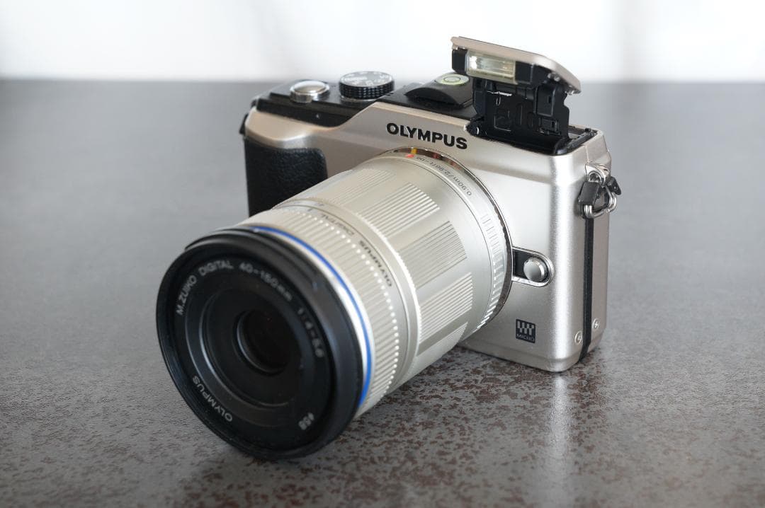 【ショット数少】OLYMPUS PEN E-PL2 ダブルズームキット