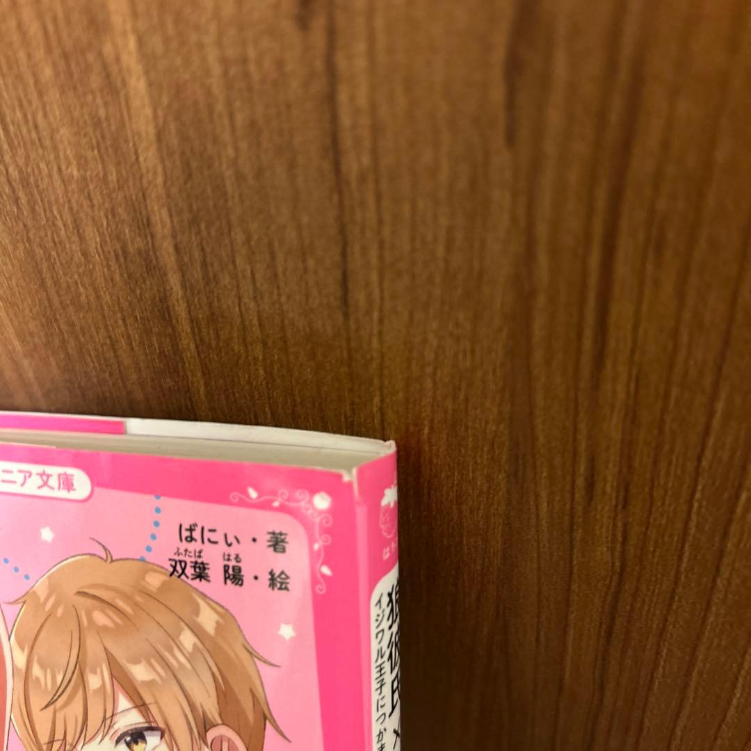 野いちごジュニア文庫　まとめ売り　計２２冊セット