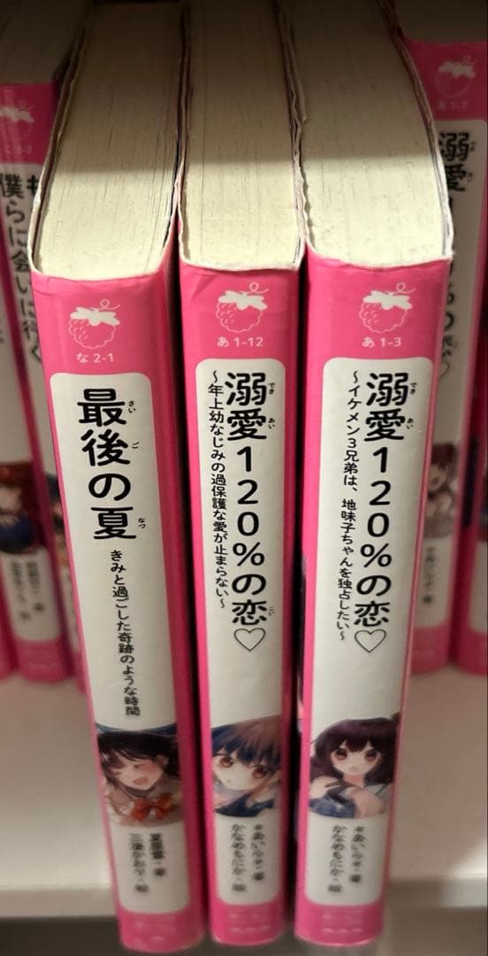 野いちごジュニア文庫　まとめ売り　計２２冊セット