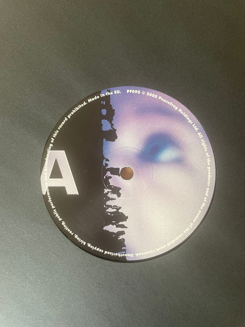 その他 Moodymann Forevernevermore 2LP 12\"