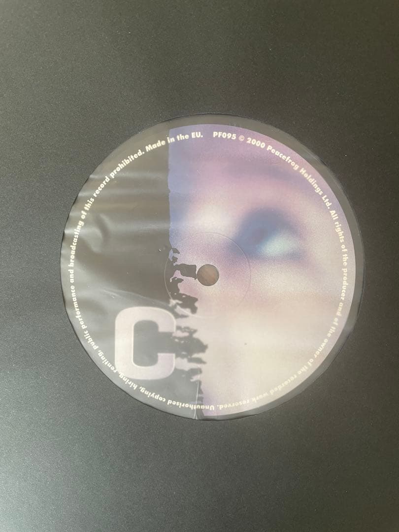 その他 Moodymann Forevernevermore 2LP 12\"