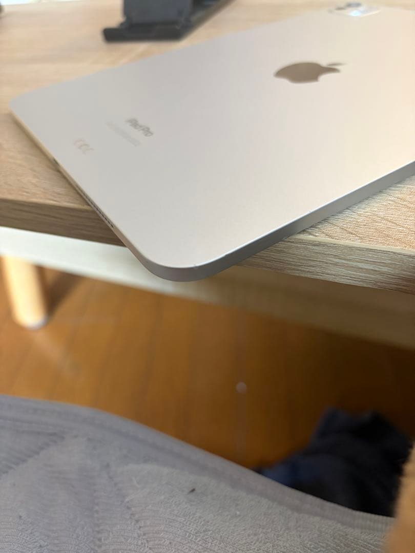 Apple iPad Pro m4 11インチ