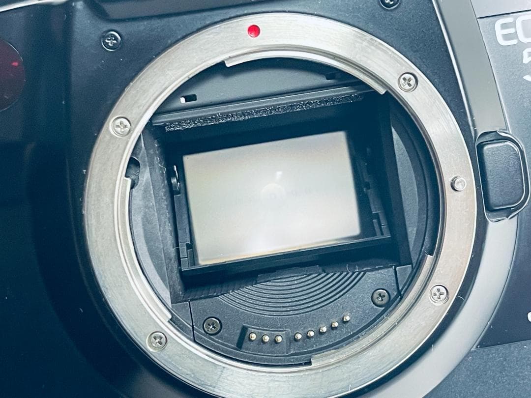 【名機】Canon EOS 5 QD キヤノン フィルムカメラ ボディ 動作OK