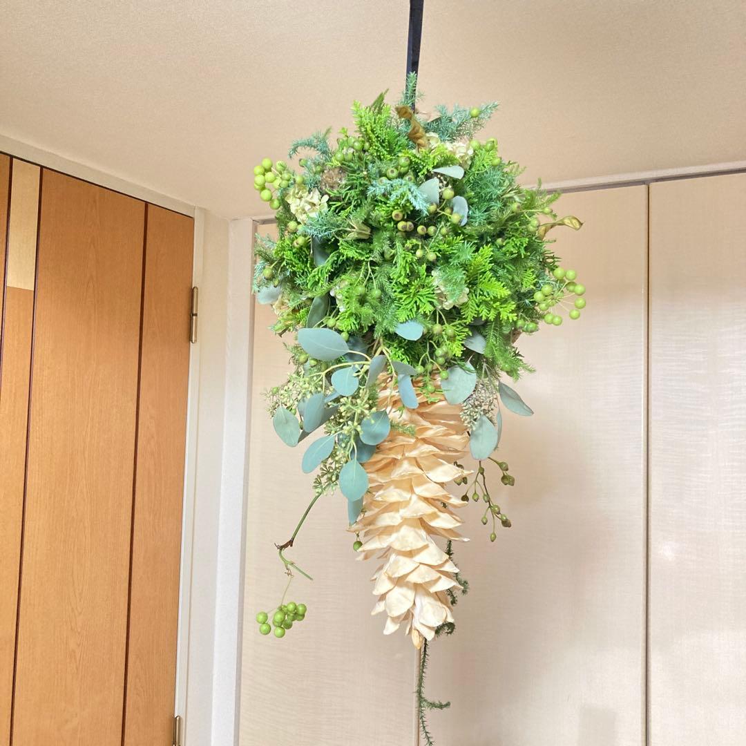 フライングリースシュガーパインコーン　ホワイト