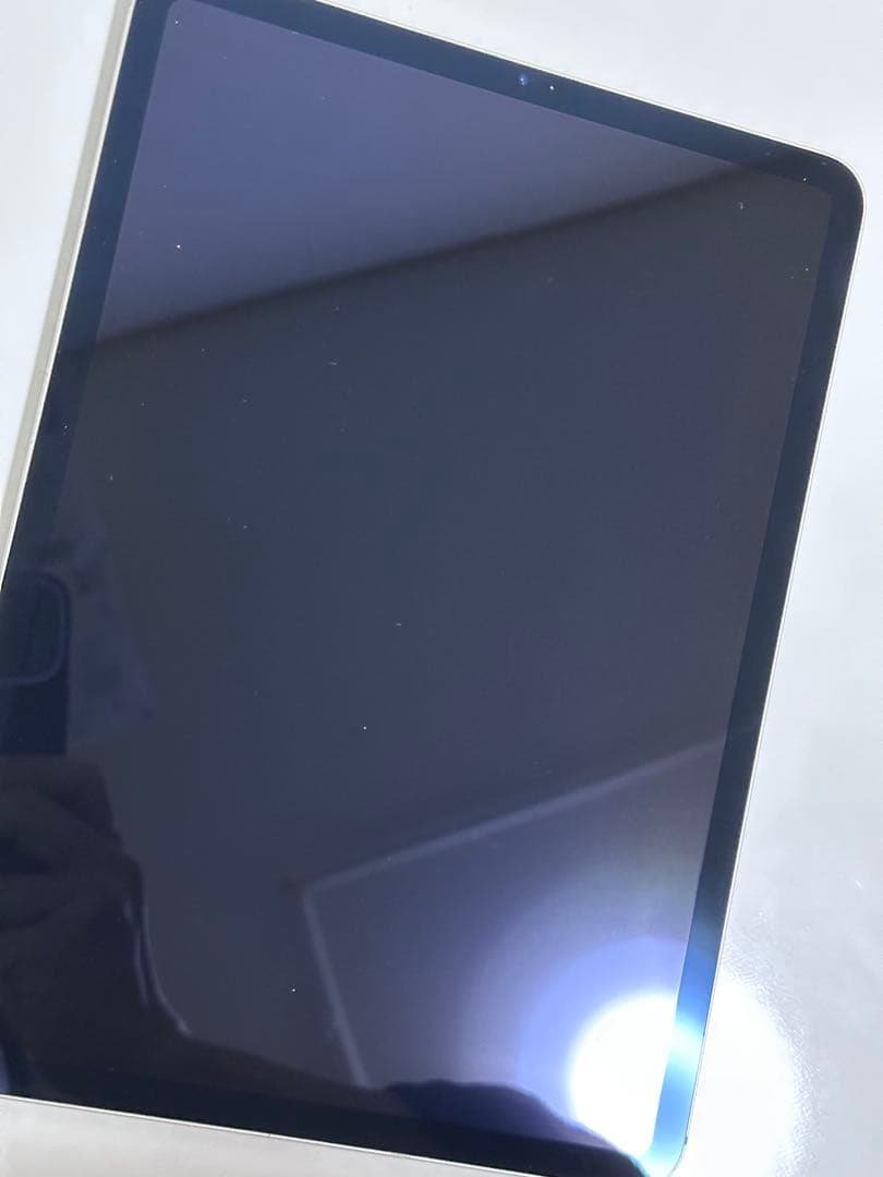 iPad Pro 11 (第1世代) 64GB WiFi + セルラー