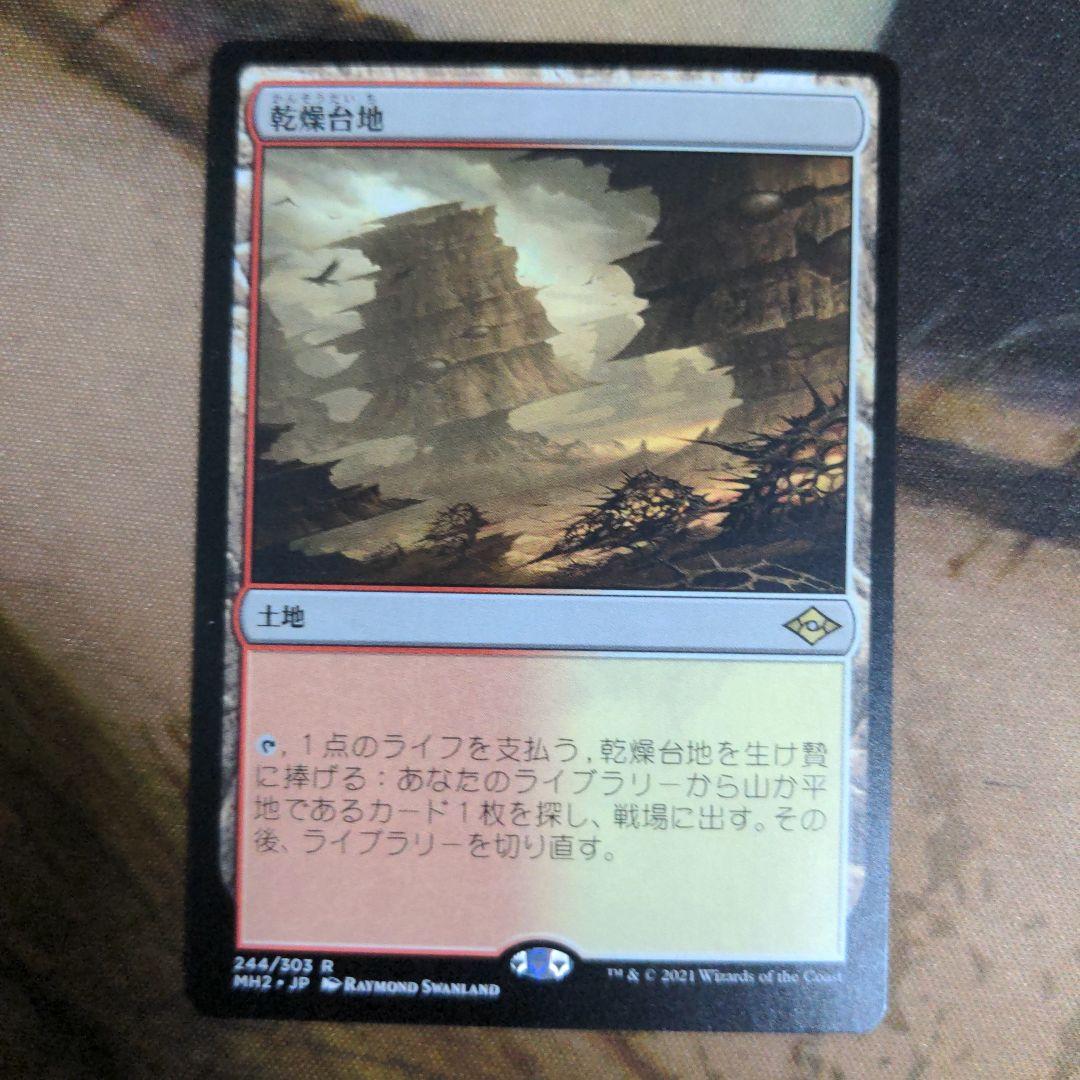 MTG　乾燥台地/Arid Mesa　4枚