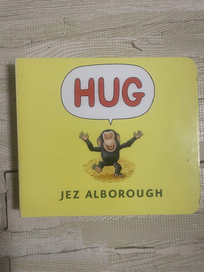 英語絵本セット13冊（Hug, Go Dog Go! 他）