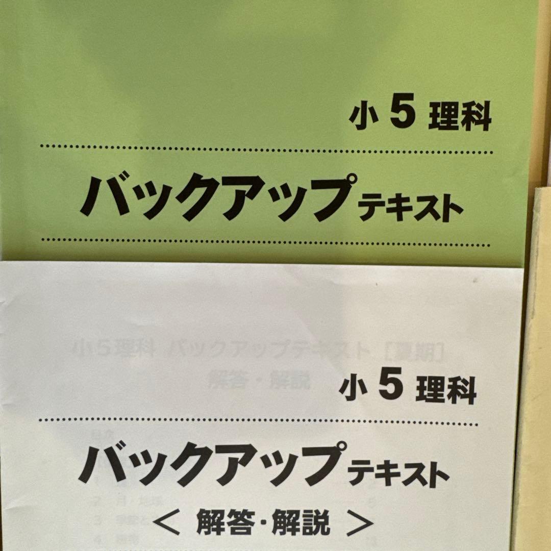 ぴ*ん様 【早稲田アカデミー】 小5 夏期講習 早稲アカ上位校5年生