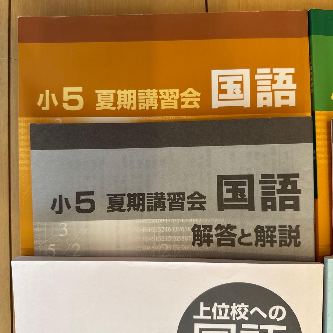 ぴ*ん様 【早稲田アカデミー】 小5 夏期講習 早稲アカ上位校5年生