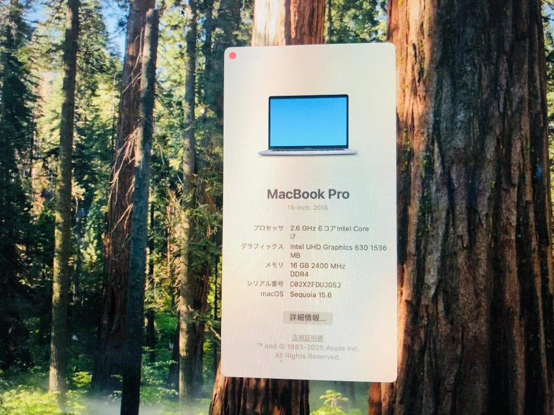 【送料無料】Apple MacBook Pro 15-inch MR942J/A