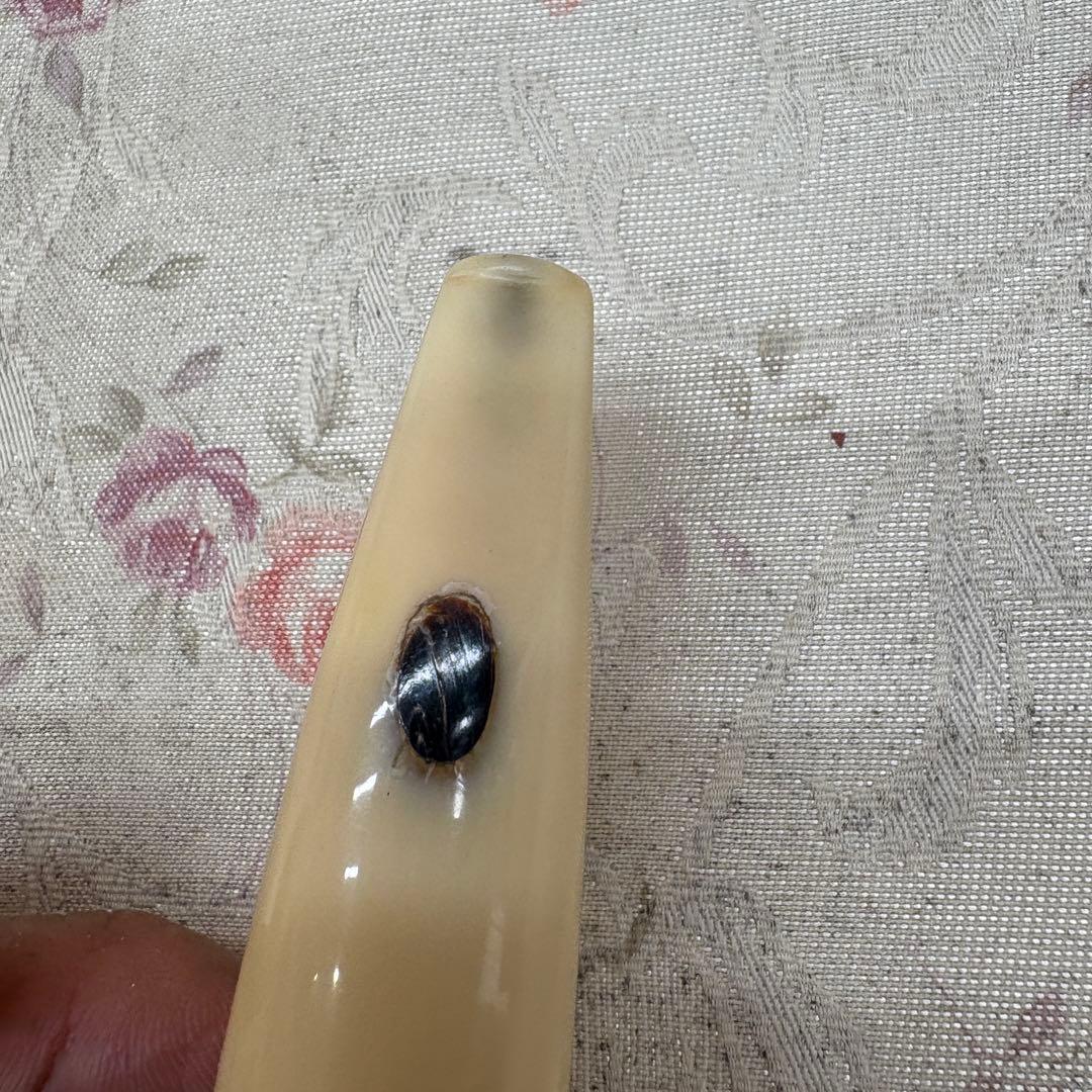 鯨歯　パイプ　47g