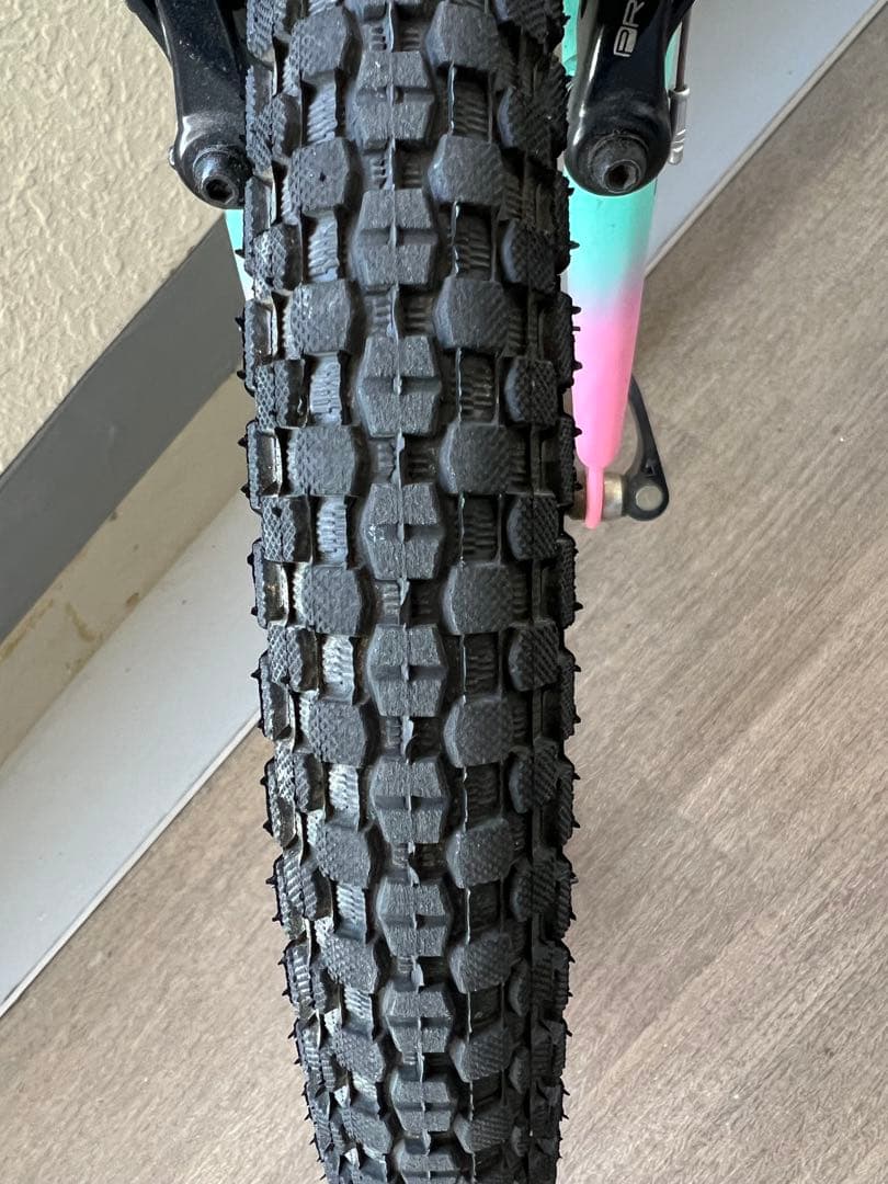 Bianchi Pirataキッズバイク 20インチ 水色とピンク