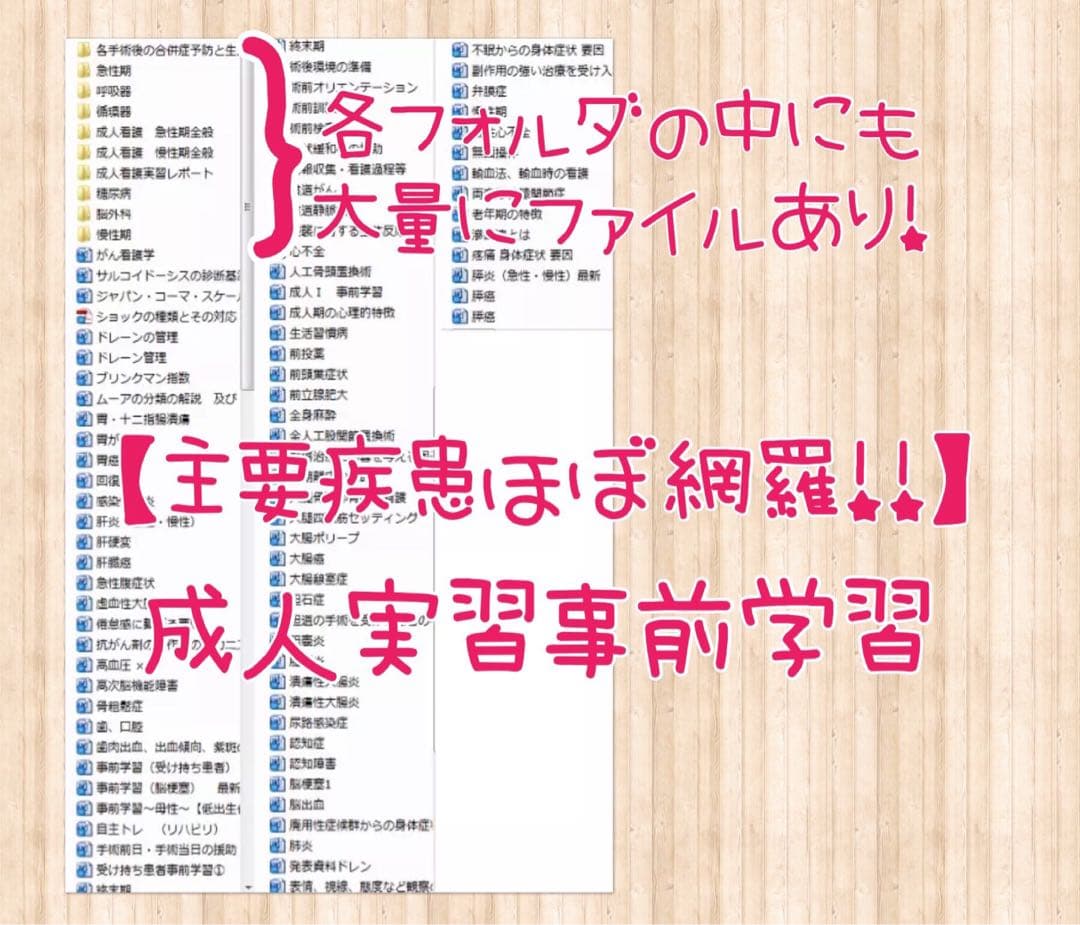 看護実習 看護学生 看護学科 看護学校 春から看護学生 アセスメント 手順書資料