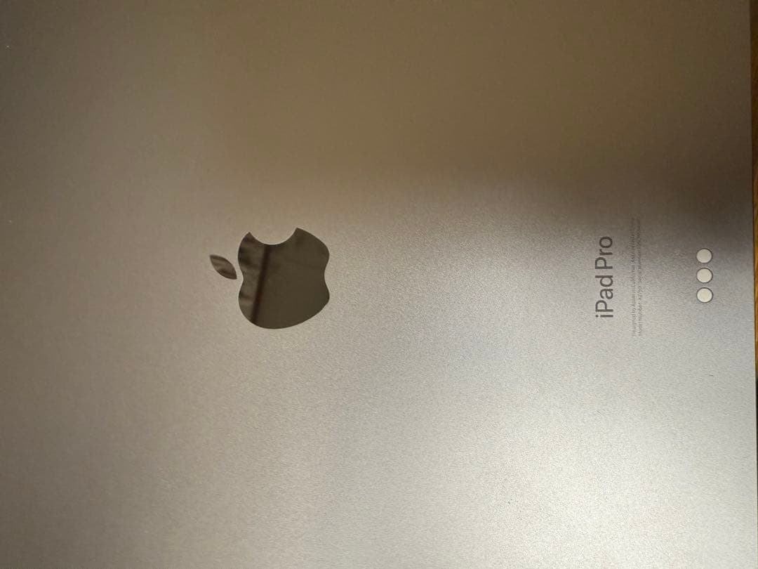 Apple iPad Pro 4世代　スペースグレー