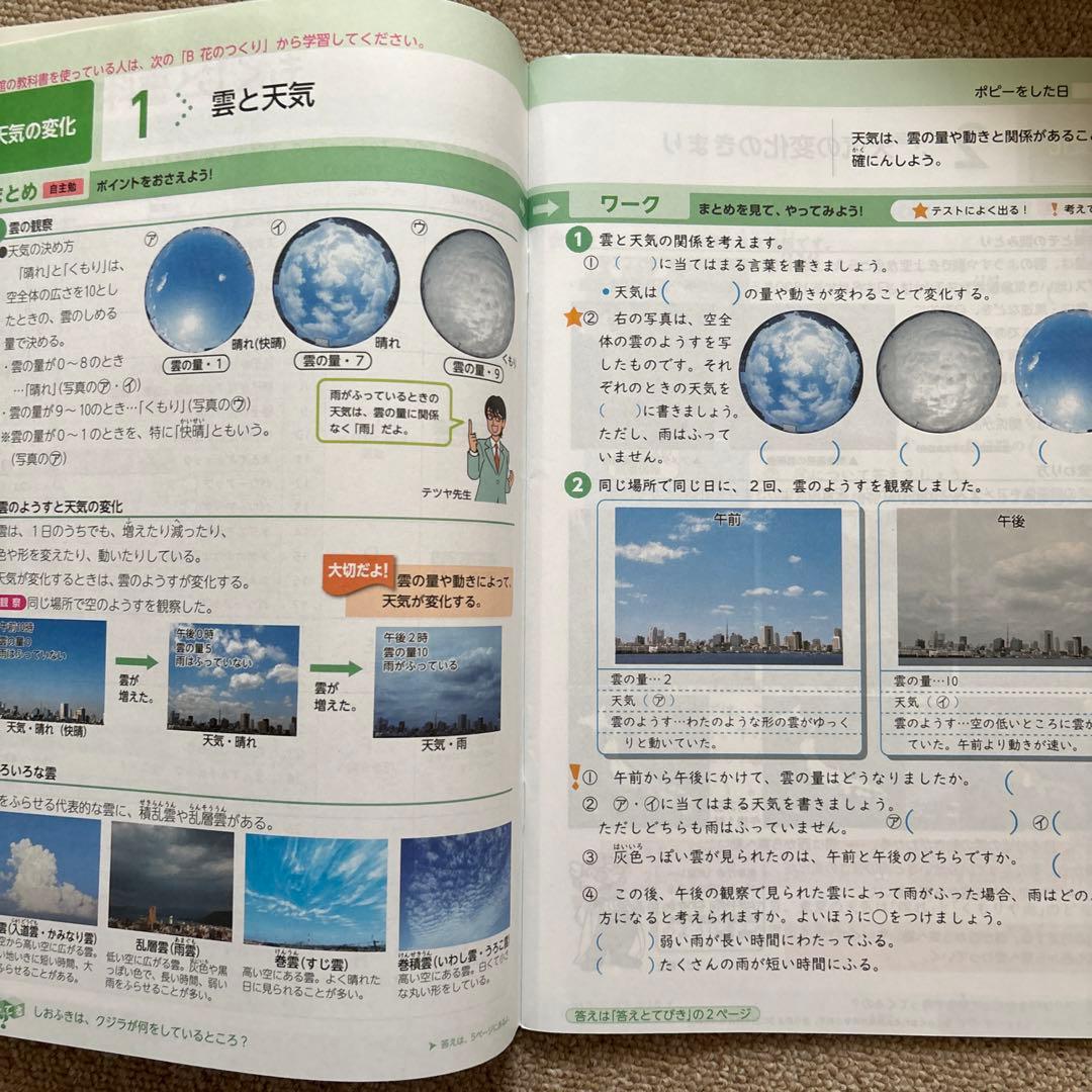 ポピー 小学5年 2024年〜2025年 4月〜3月 (１年分)