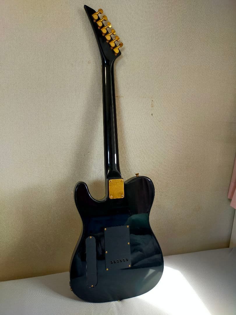 FERNANDES TEJ LIMITED EDITION ギター ジャンク
