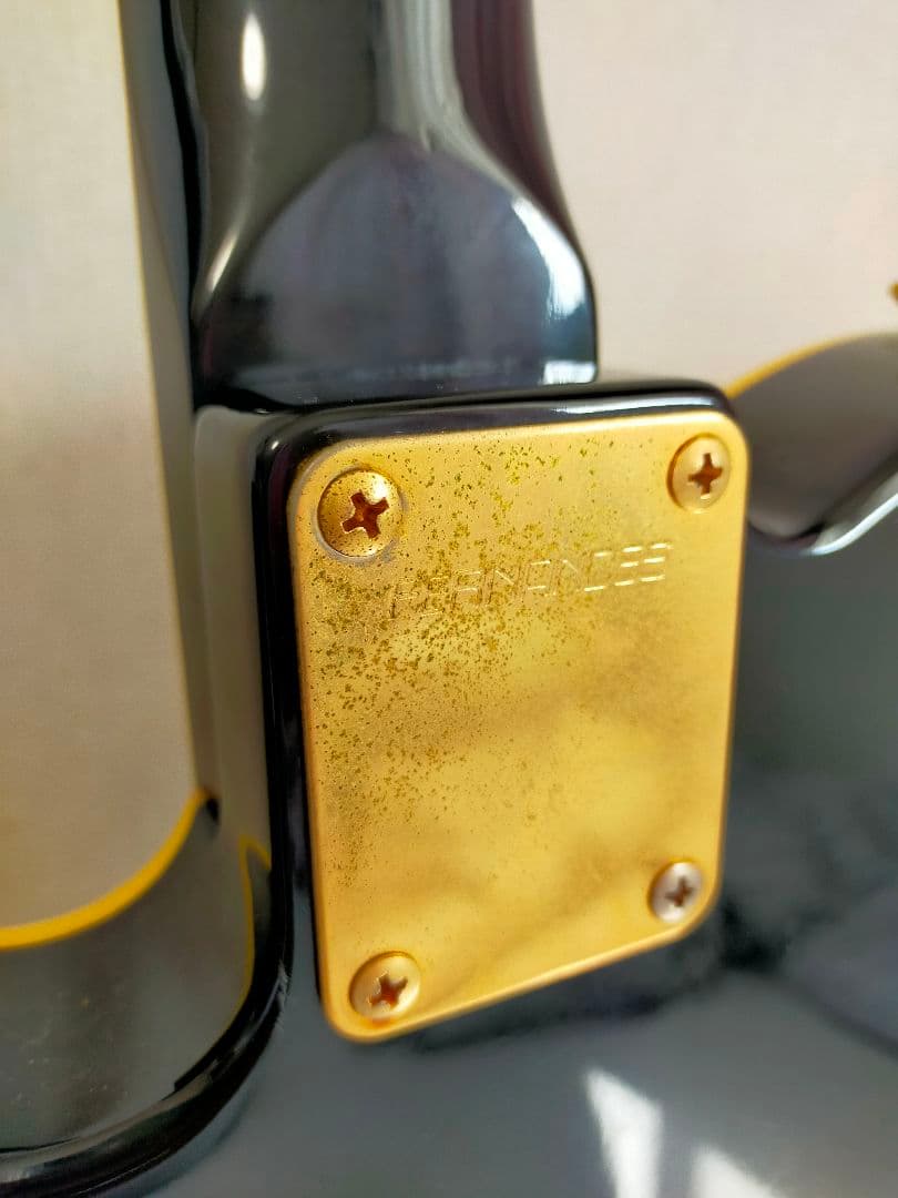 FERNANDES TEJ LIMITED EDITION ギター ジャンク