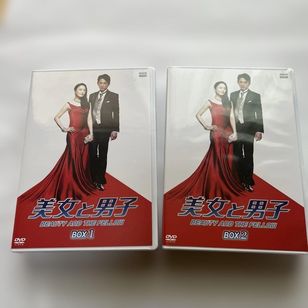 美女と男子 DVD 10枚セット