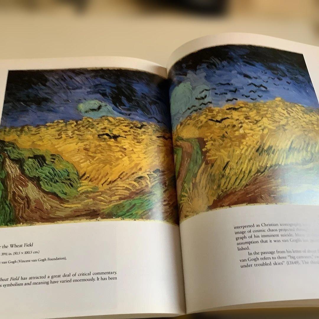 VAN GOGH IN SAINT-RÉMY AND AUVERS