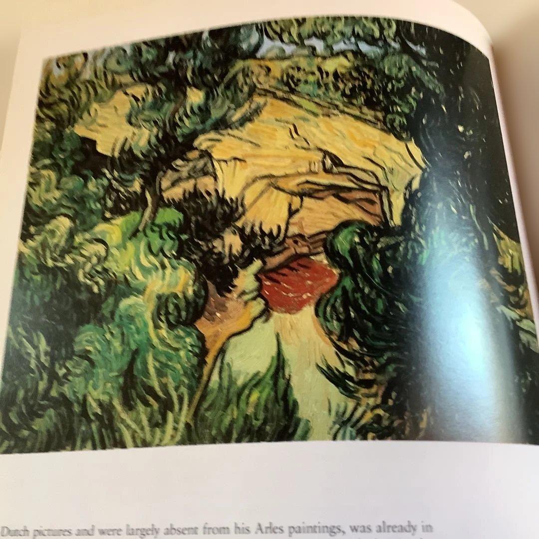 VAN GOGH IN SAINT-RÉMY AND AUVERS