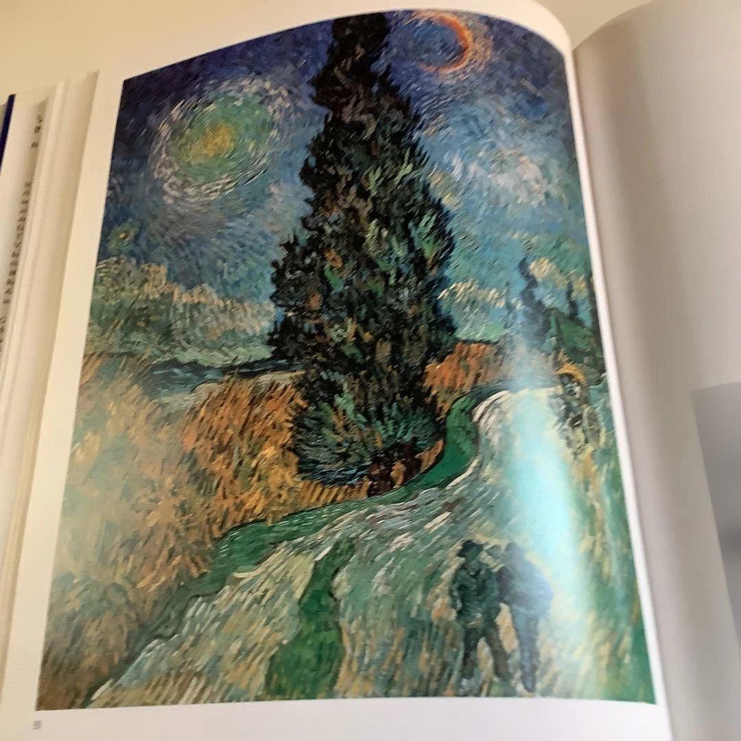 VAN GOGH IN SAINT-RÉMY AND AUVERS