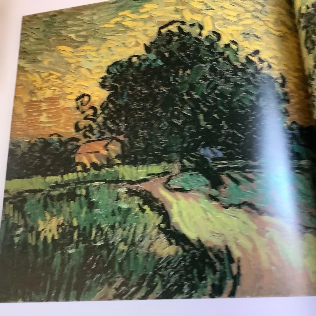 VAN GOGH IN SAINT-RÉMY AND AUVERS