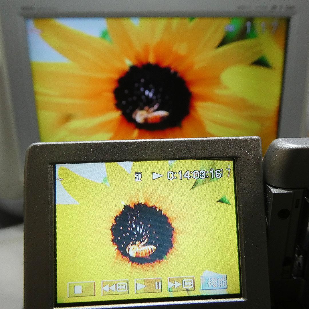 動作品 ソニー DCR-PC3 MiniDVビデオカメラ　DVDダビングに最適