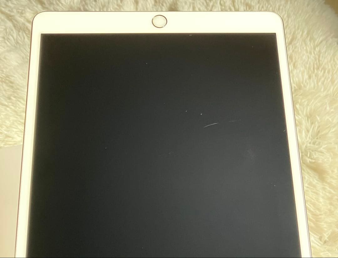 【完動品】iPad Pro 10.5 256GB 【即発送】【付属品】