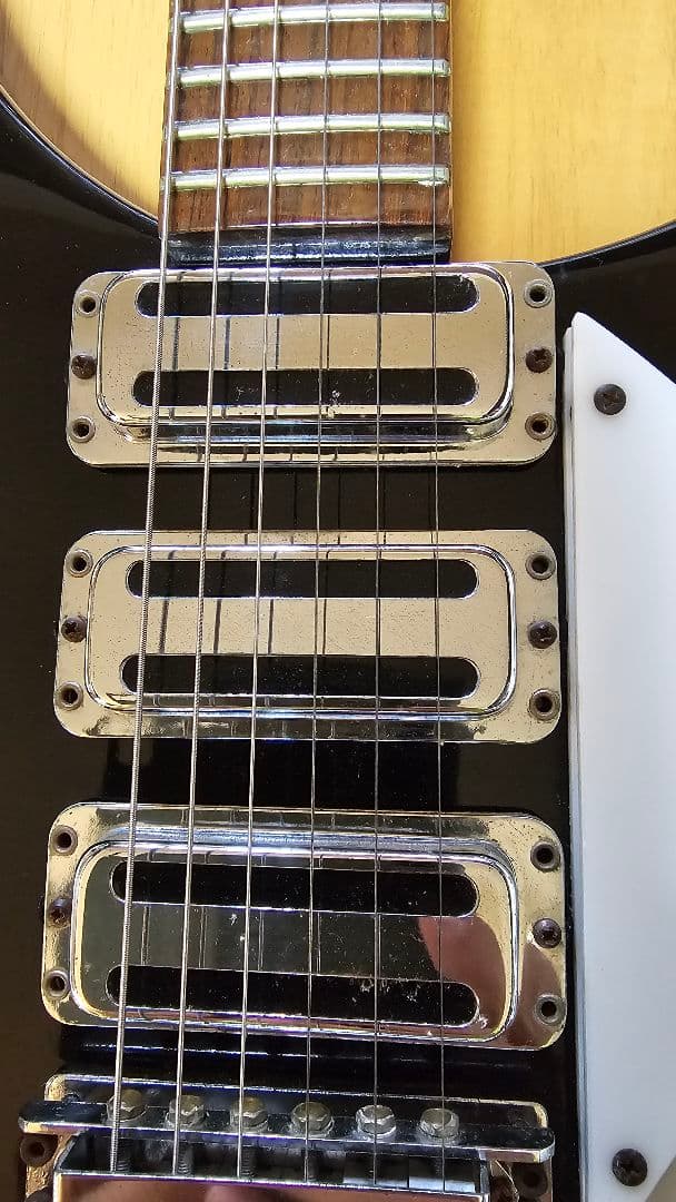 フェルナンデス RG-80？ Rickenbacker エレキギター ジャンク？