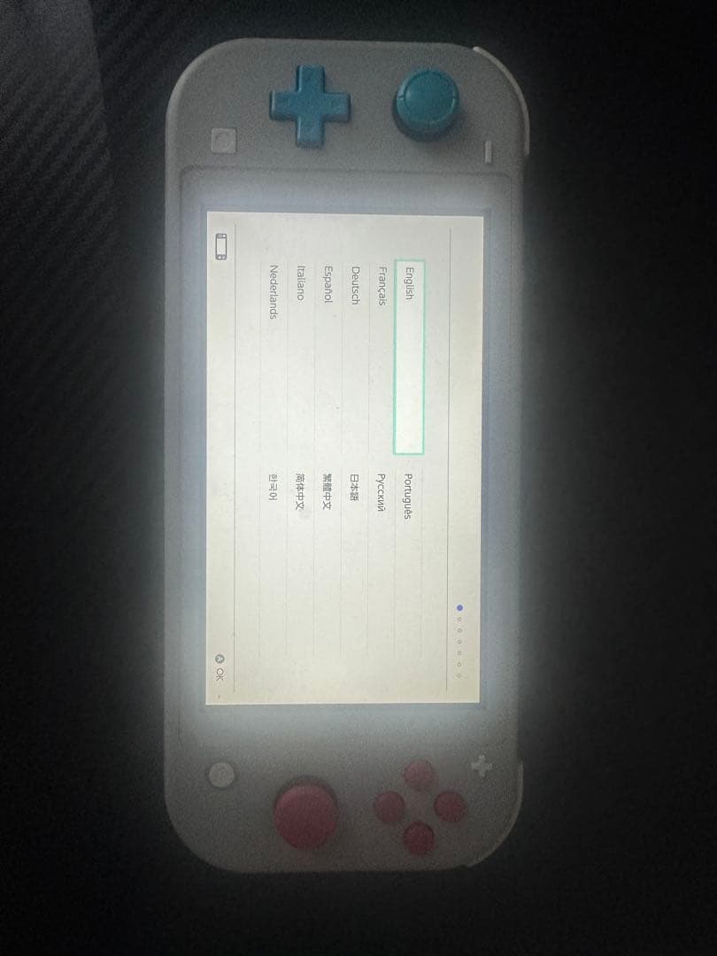 Nintendo Switch Lite ザシアン・ザマゼンタ　充電機あり