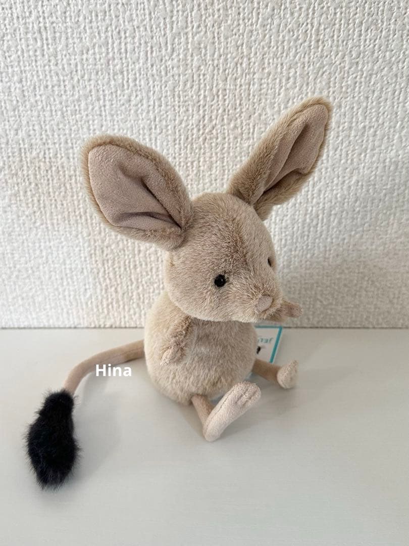  ♡ Jerboa