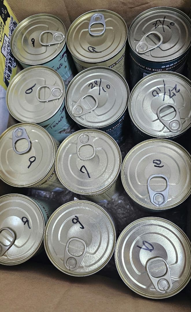 テラカニス 缶詰 12缶セット
