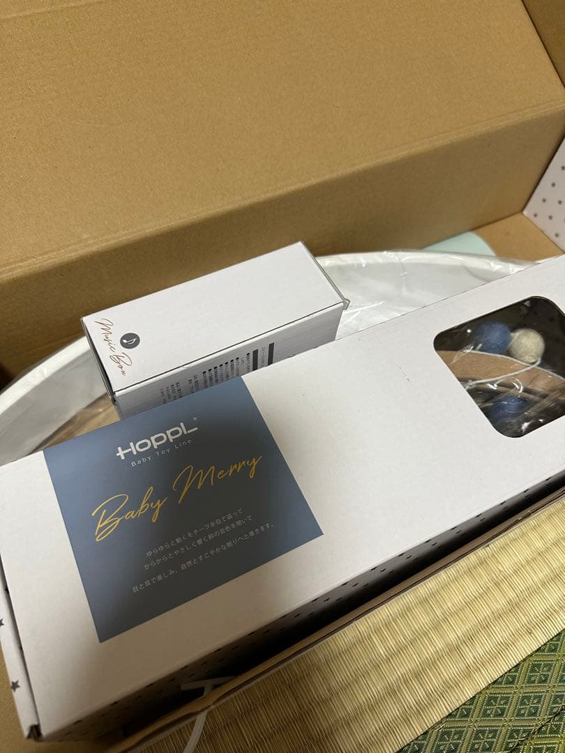 Hoppl Baby Merry ベビーモービル