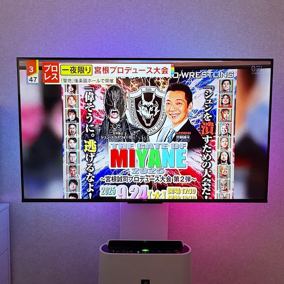 箱付 PHILIPS hue LEDテープライト 55 TV スマート 照明