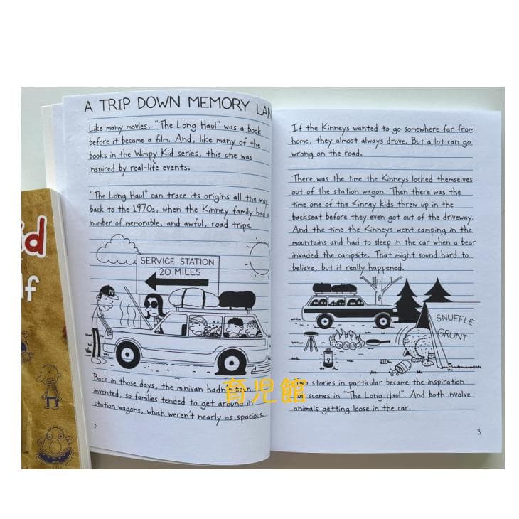 Diary of a Wimpy Kid 絵本24冊 箱なし 洋書