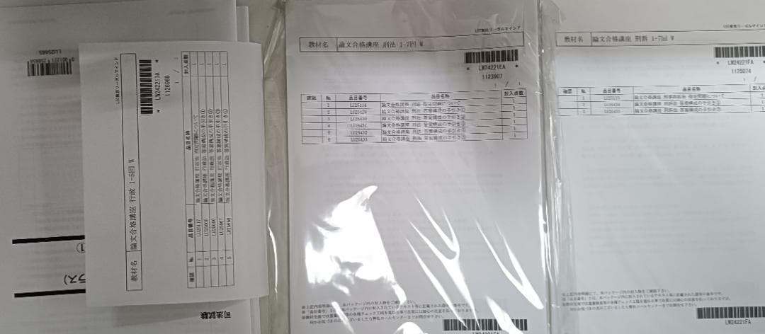 2024　LEC　論文合格講座　テキスト（コアノートは別売り）