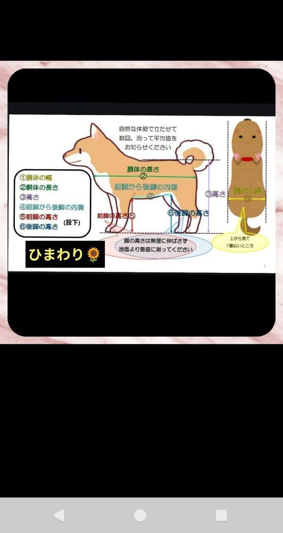 ペット用歩行器4輪　車椅子　介護