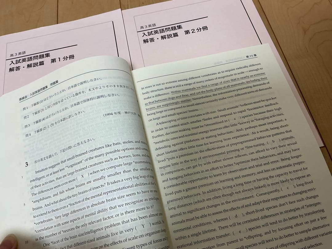 鉄緑会　高3 英語　問題集