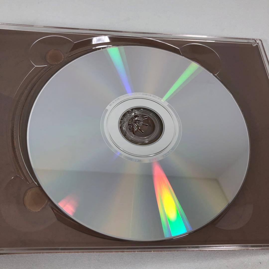 DVD 崖っぷちホテル！