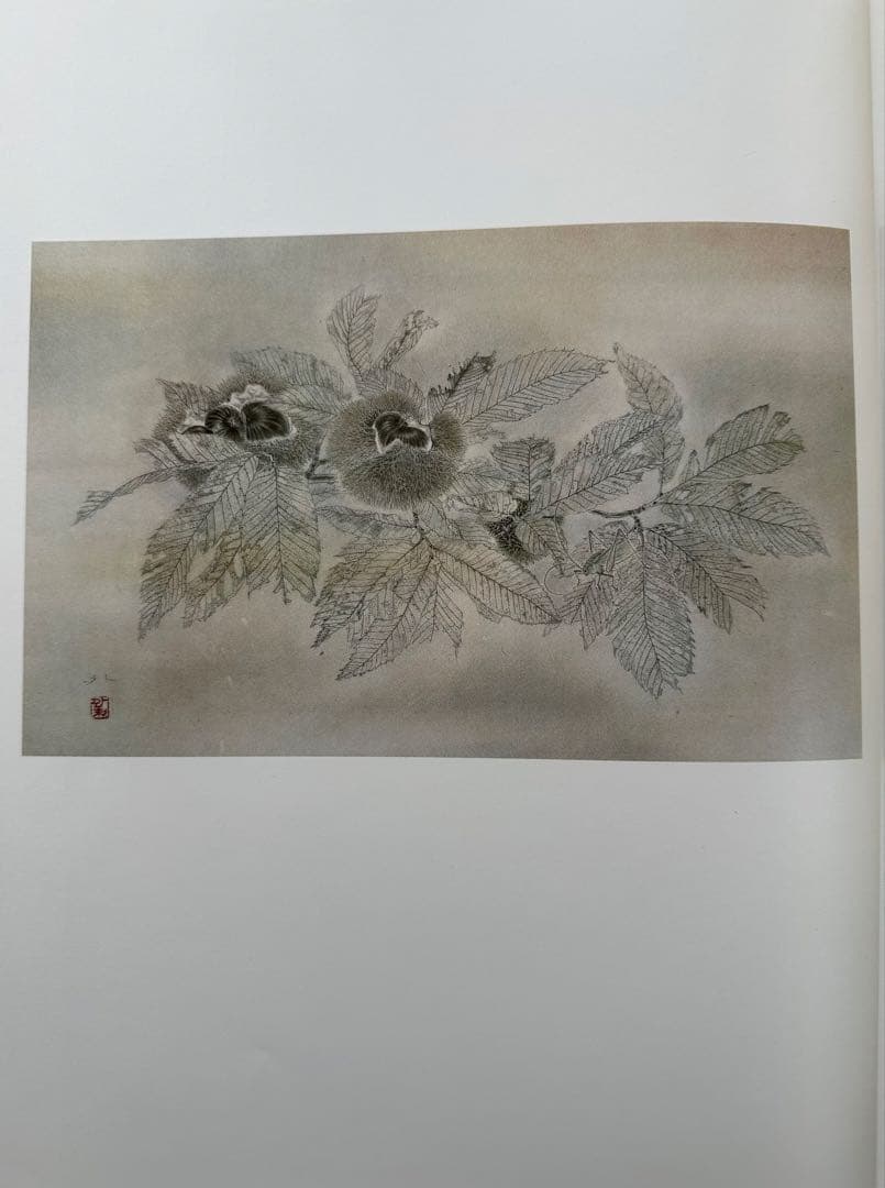 画集 昇外義