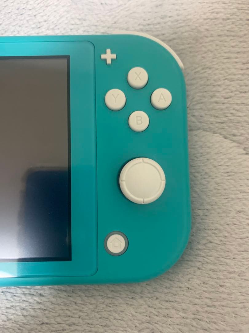 Switchライト 本体のみ 即日発送