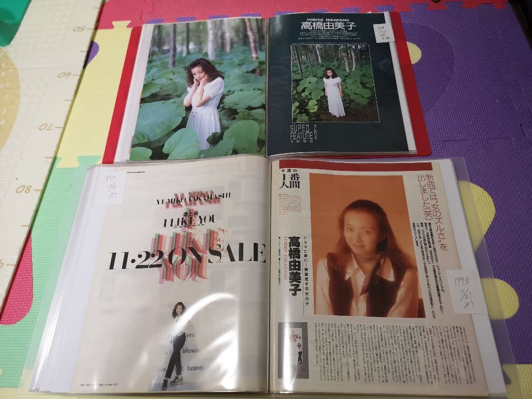 高橋由美子(1冊200円計算)144冊分約370ページ切り抜きしファイリング済み