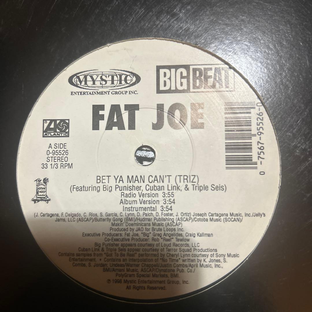 Big Pun, Fat Joe, テラースクワッドなど レコード12枚セット